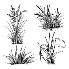 A set of hand-drawn grass, black forts for graphic design.