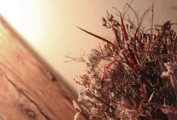 dried flowers on wooden background