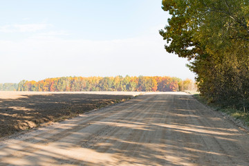 Autumn landscape with trees and yellow leaves