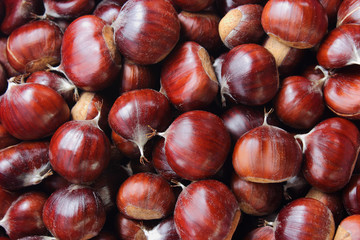 Group of shiny brown sweet chestnuts background. Top view.