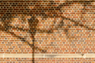 Reddish brown color vintage brick wall texture with a quilted look, showing shadows of a tree and street lamp
