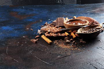 Chocolate bar pieces and melting swirl cocoa. Sweet food photo concept. The chunks of broken...