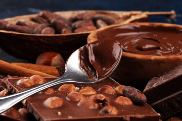 Chocolate bar pieces and melting swirl cocoa. Sweet food photo concept. The chunks of broken...