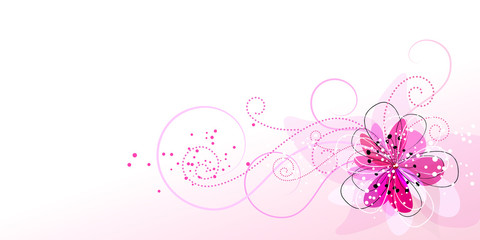 delicate header with pastel pink flowers