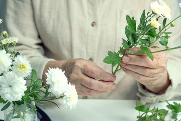 Hands of an elderly woman is bouquet of white autumn flowers. The style of living of pensioners, hobby.