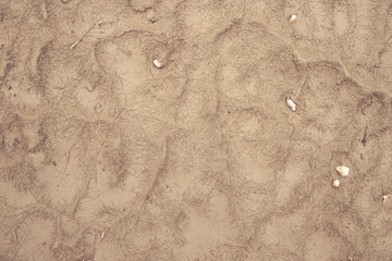 texture in the mud