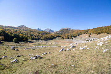 Fototapeta premium Abruzzo national park