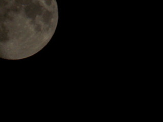 moon in the night sky