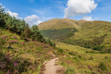 A Pathway Through a Scottish Landscape