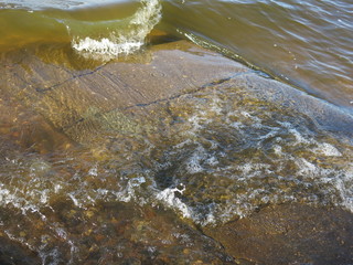 the shore of the lake clear water green surf