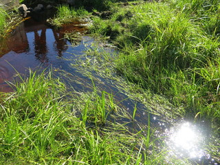 water flows through the grass