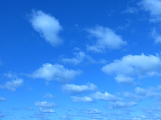 Obraz na płótnie Canvas High blue sky in summer