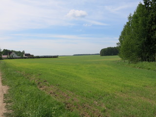 summer field with track