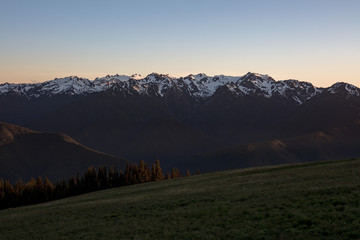 Panoramic View of Hurricane Ridge, mountainous area in Olympic National Park, Washington. Pacific Northwest Mountains, Protected National Forest Area, Scenic Mountain View, Ridges and Peaks