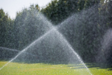 Watering green grass sprinkler.   Sprinkler with automatic system. Garden irrigation system...