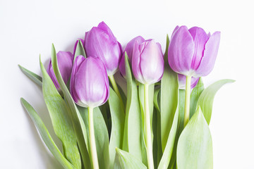 Bouquet of violet tulips on white background close-up