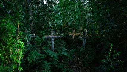 Wild cemetery with wooden crosses from anonymous gates in a humid forest or jungle. A lot of vegetation is observed around.