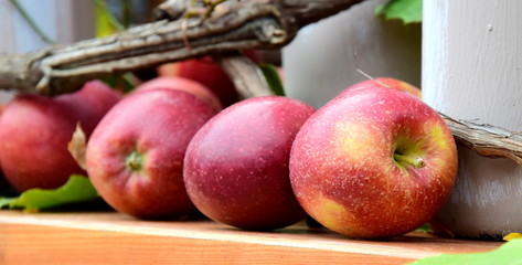 Rote Äpfel - Erntedankfest - Dekoration im Herbst