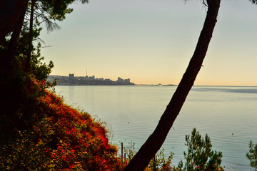 view on Sochi and Blacksea