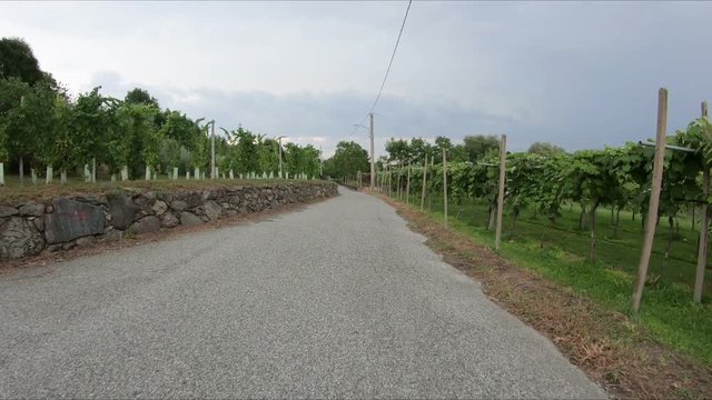 Via Cascine di Ponente Beato Federico Albert in Viverone, Province of Biella, region Piemonte, Italy