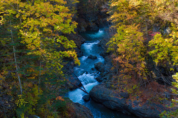 清流と紅葉