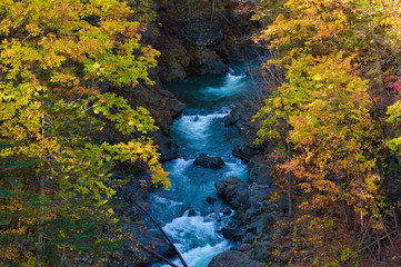 清流と紅葉