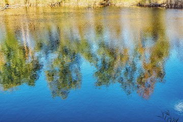 reflection in water, autumn colored background, trees reflected in slightly wavy water