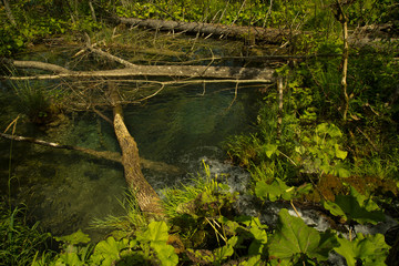 Plitvice Lakes National Park, Croatia.