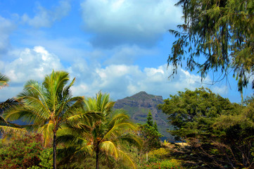 Fototapeta na wymiar Rugged Mountain Peak on Kauai