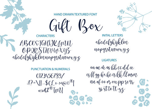 Vector alphabet typeface. Hand drawn modern typeface. Cute typographic script letter set for logo, branding and lettering quotes.