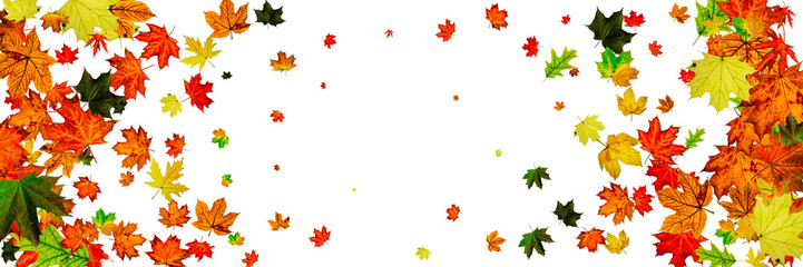 Autumn leaves on ground. November falling pattern background. Thanksgiving season concept