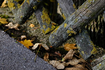 Jägerzaun Gartenzaun Herbst close up verwittert