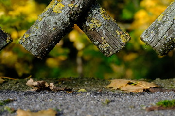 Jägerzaun Holzzaun Gartenzaun close up