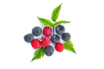 Mix berries with leaf. Various fresh berries isolated on white background. Raspberry, Blackberry.