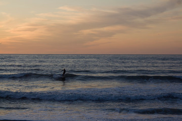 Surfer on the Beach at Sunset