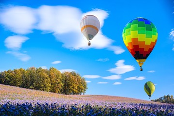 Fototapeta premium Balloon flies over a field of flowers