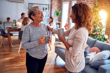 Family and friends dining at home celebrating christmas eve with traditional food and decoration, women talking together happy and casual