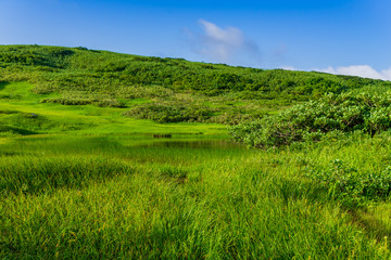Naklejka premium 【山形県】日本百名山 夏の月山 弥陀ヶ原湿原