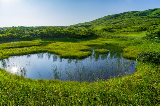 【山形県】日本百名山　夏の月山　弥陀ヶ原湿原