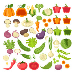 Vegetables food slice icon set collection concept. Vector flat cartoon graphic design illustration