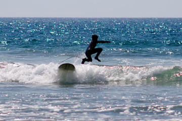 Torrey Pines State Beach