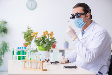 Young male chemist working in the lab