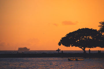 Hawaii Sunset Surfer Silhouette