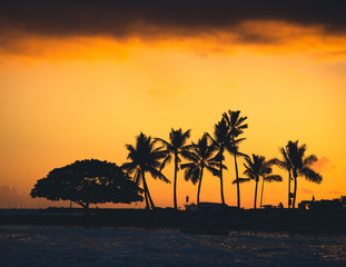 Fototapeta na wymiar Hawaii Sunset Palm Trees