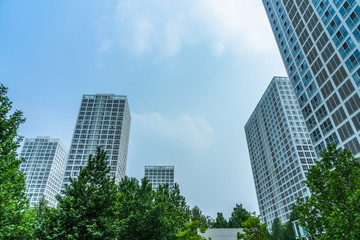modern office building with green leaves.