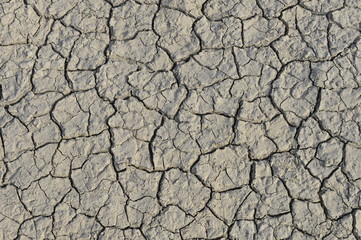 dry season with very arid terrain and little water broken soil virtually no vegetation