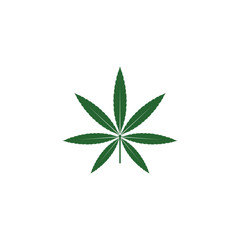 cannabis leaf illustration, green icon