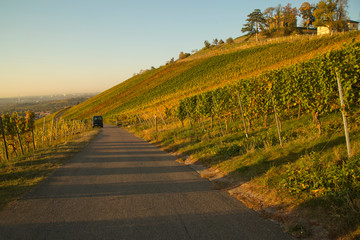 Fototapeta premium The Vineyard in Stuttgart, Germany.