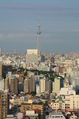 Fototapeta na wymiar Tokyo sky tree view from Bunkyo Japan
