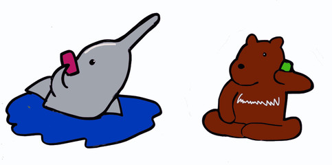 a dolphin&a bear communicationg